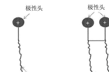 疏水基团是什么