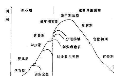 什么是企业生命周期理论