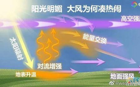 阵风风速8米每秒是多少级风