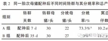 母猪配完什么时间转栏