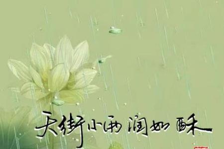 清风淡雨下一句是什么