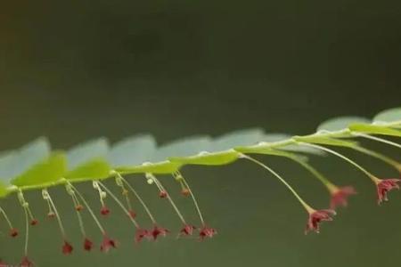 悄无声息默默无闻区别