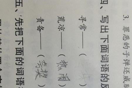 偷的反义词是什么字