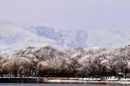 瑞雪初霁是什么意思