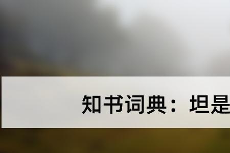 心坦什么意思