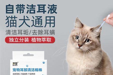 猫咪用完洗耳液后需要擦干吗