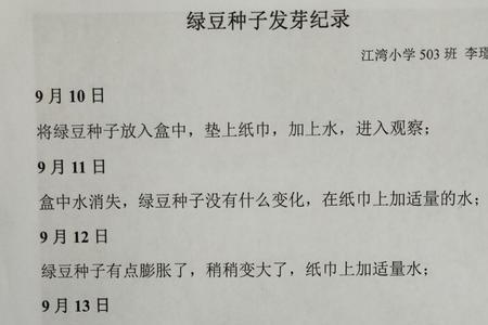 种子记录表怎么画