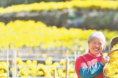 电工证到期复审可以延长几天