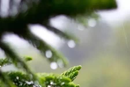 夏天是什么的大雨