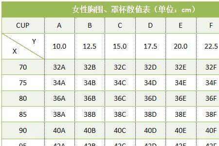 胸围31对应的尺码