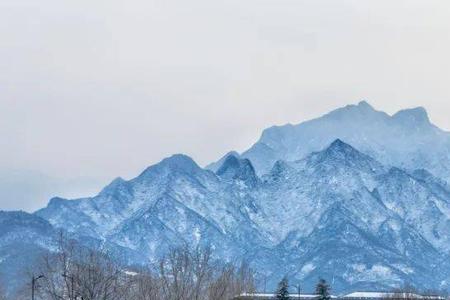 为什么秦岭山那么多乌鸦