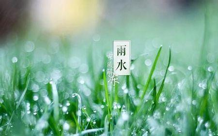 雨水是什么水