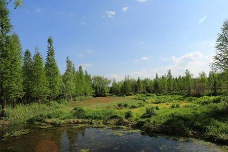 昆明五甲河湿地公园可以钓鱼吗