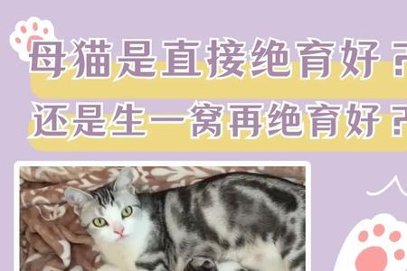 母猫生孩子好还是绝育好