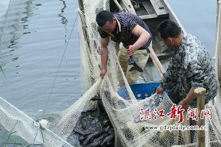 如果把清道夫放进水库会怎么样