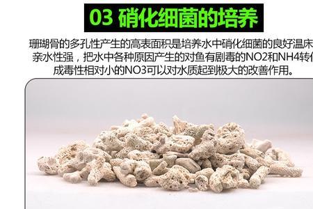 珊瑚骨是酸性还是碱性