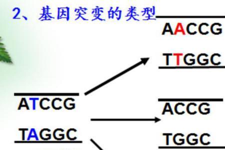 基因扩增和基因突变的区别