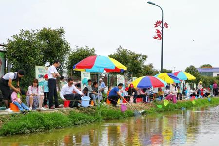 钓龙虾犯法吗