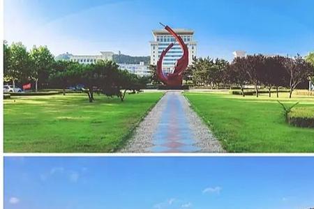 山东大学威海校区多大