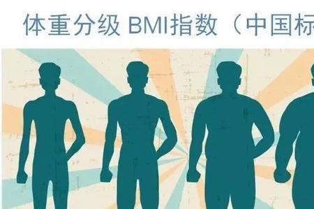 bmi>28什么意思