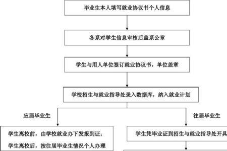 应届毕业生派遣有什么好处