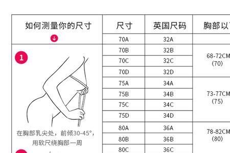 胸衣85abc是多大码