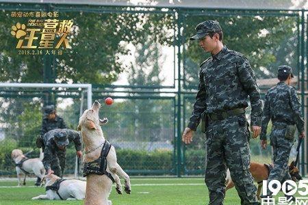 寻找警犬的经典电影