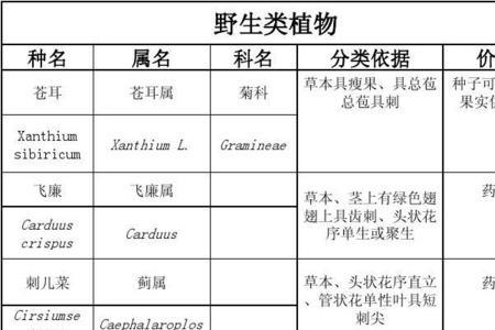 植物科目分类