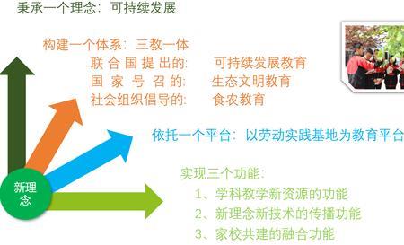 劳动组织的社会功能有哪些