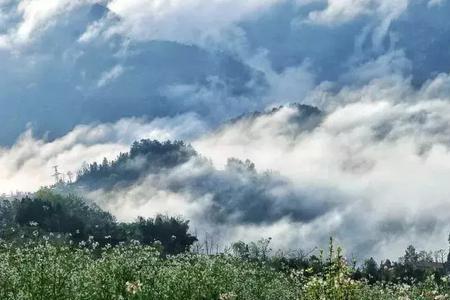 利川平均海拔高度