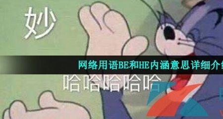 网络内涵什么意思