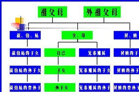 兄妹关系合法吗