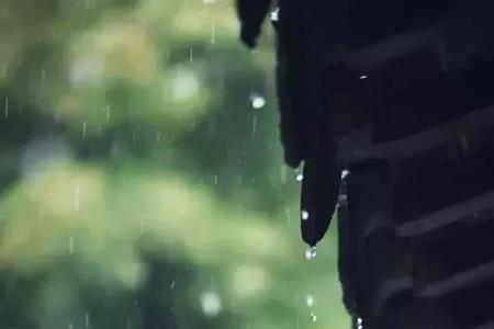 西风斜雨出自哪首诗