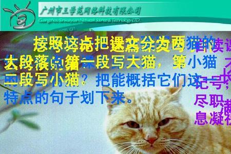 猫这一课主要讲了什么