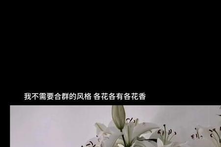 少信一些没意义的漂亮话怎么接