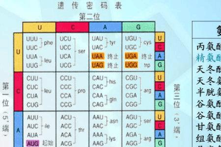 遗传密码的基本特点