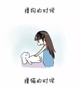 笨和憨有什么区别