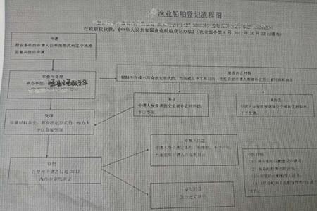 能说一下船务的工作流程吗