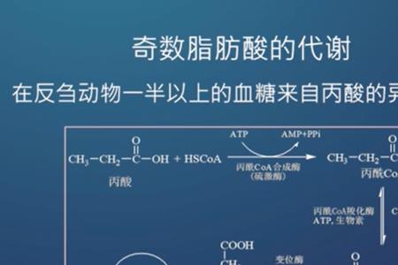 三羧酸循环耗能吗