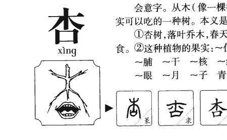 夏天的夏偏旁是什么