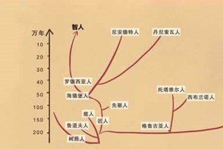 印欧人种分布