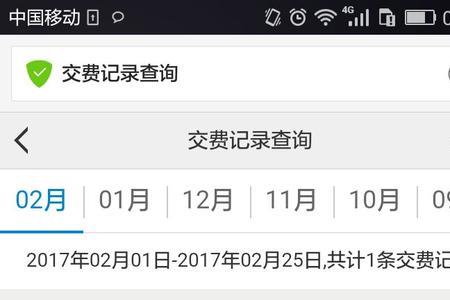 怎么查前几个月的话费明细