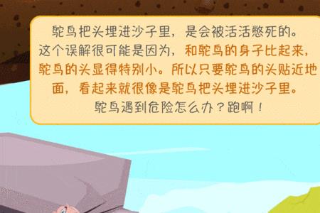 鸵鸟血怎么才能凝固