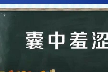 囊吧是什么意思