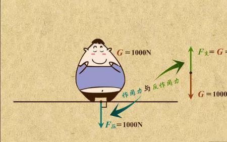 压力与支持力是一对什么的