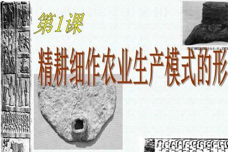 历史可以学农业么