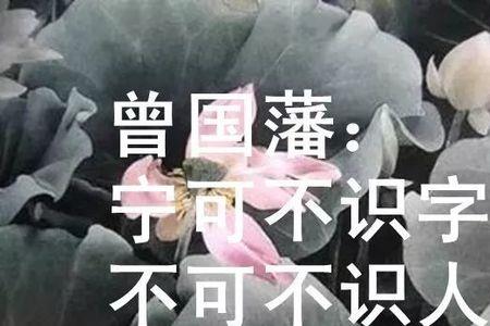 识人不淑遇人不善的意思