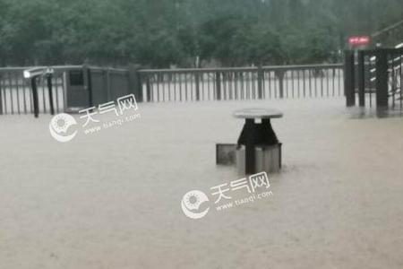 一天降雨20毫米雨大吗