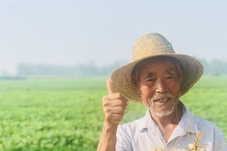 太空1号花生是高油酸品种吗