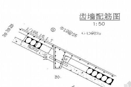 什么叫齿墙